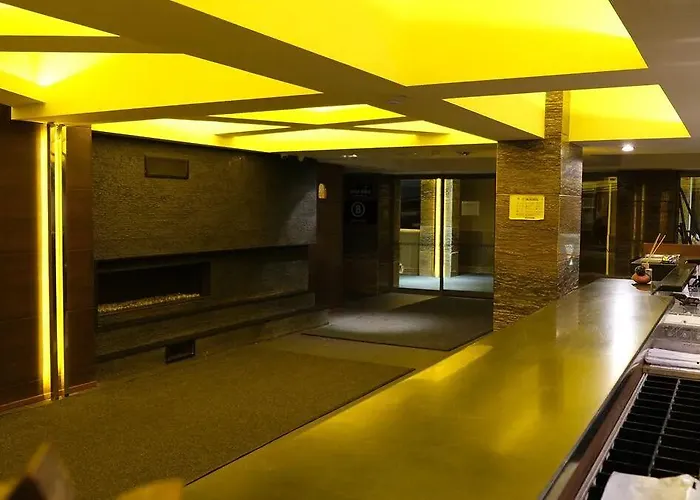 No 21 By Fidan Hoca *