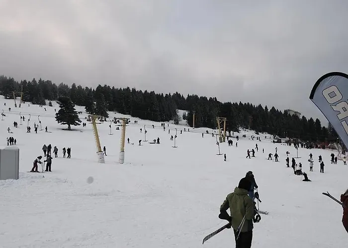 Otel No 21 By Fidan Hoca Bursa